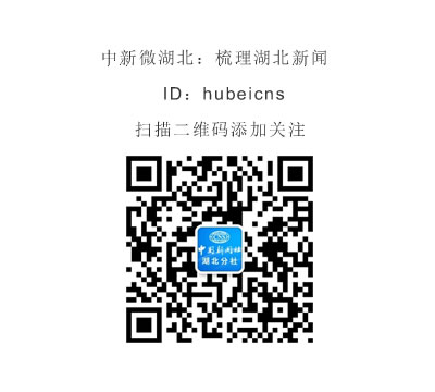 襄阳通报2019年全市药品安全监管工作情况