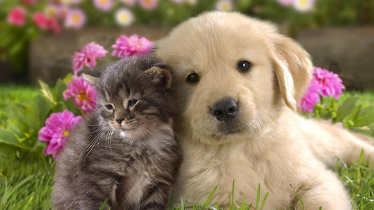 u=1782354689,211750286&fm=26&gp=0.jpg