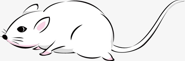 u=1192507885,1643334339&fm=26&gp=0.jpg