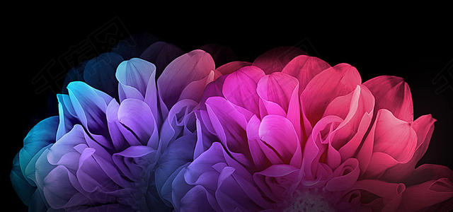 u=565042970,4161243015&fm=26&gp=0.jpg