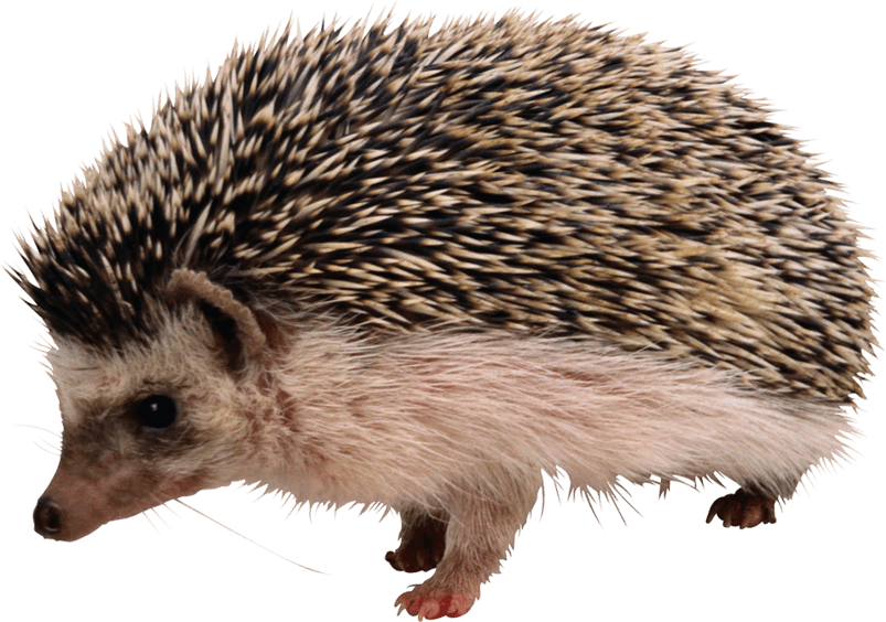 download.png