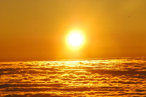 u=2288114235,2207984315&fm=26&gp=0.jpg