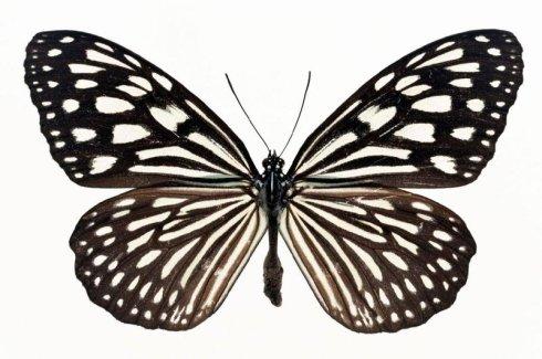 u=1421652742,3004879892&fm=26&gp=0.jpg
