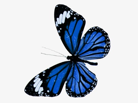 u=1374607833,4010662355&fm=26&gp=0.jpg