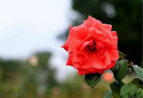 u=3254320420,2459795272&fm=26&gp=0.jpg