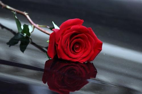 u=1808104751,3977088598&fm=26&gp=0.jpg