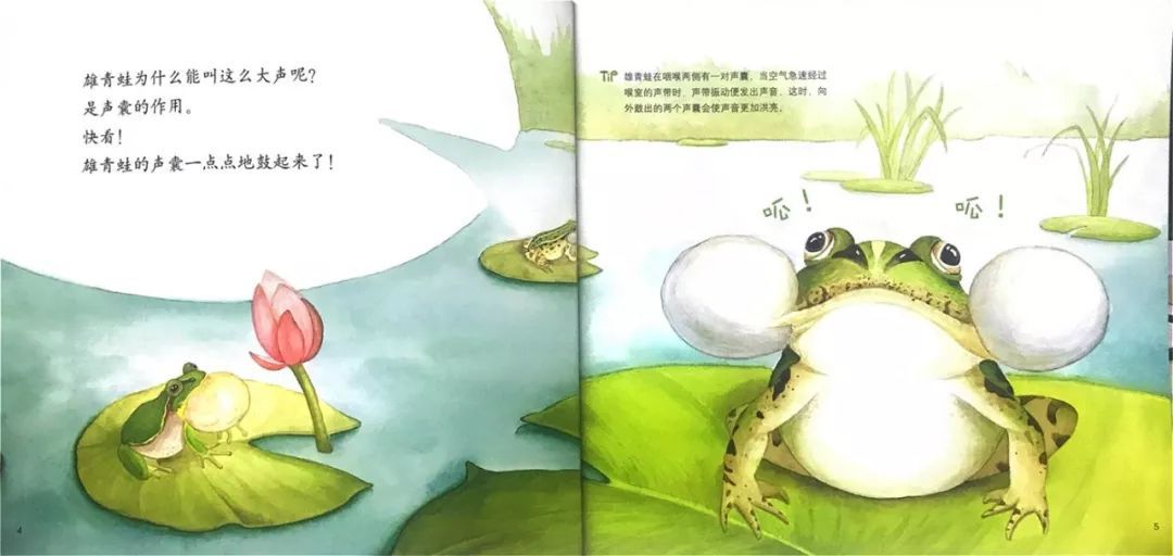 src=http___dingyue.ws.126.net_y3qW6NtKlrrtMdtuDuCT2DdGJAW1s9eWV0tyGbQw0A77J1554723111944compressflag.jpg&refer=http___dingyue.ws.126.jpg