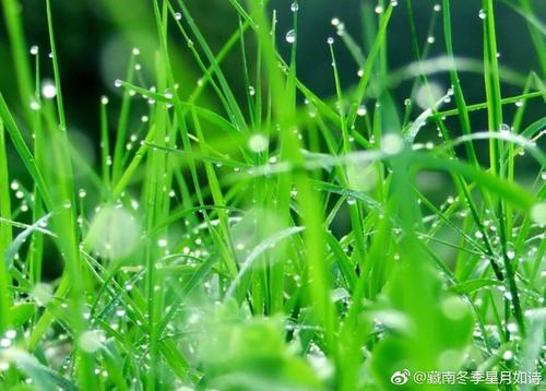 u=3701884163,2639992505&fm=26&gp=0.jpg