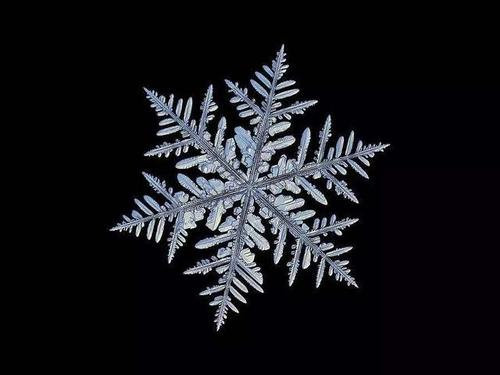 u=2825736471,616156508&fm=26&gp=0.jpg
