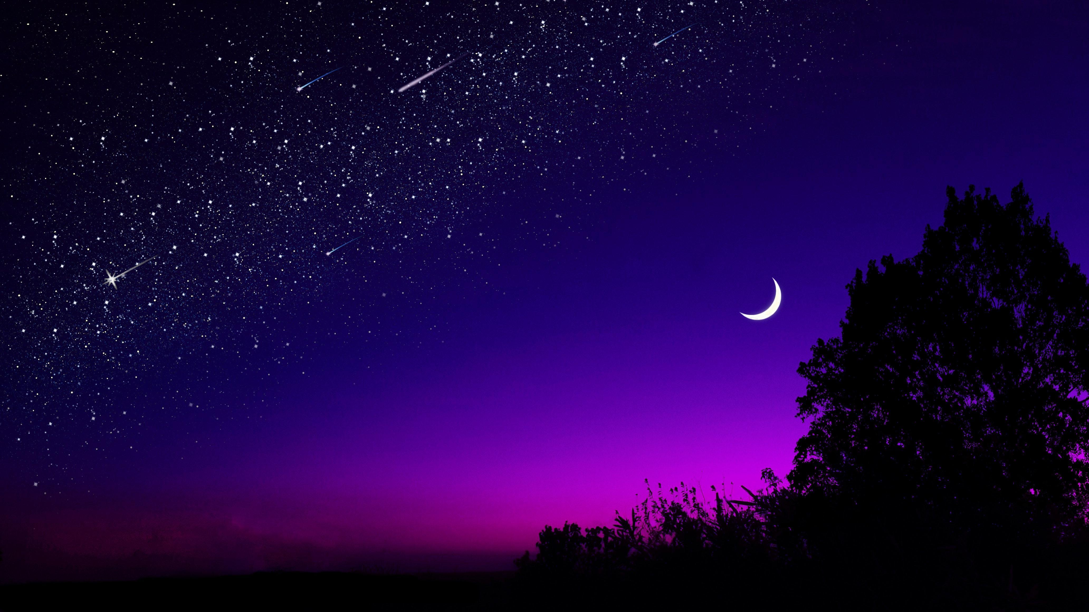 src=http___data.1freewallpapers.com_download_moon-tree-starry-sky-night-stars-dark.jpg&refer=http___data.1freewallpapers.jpg
