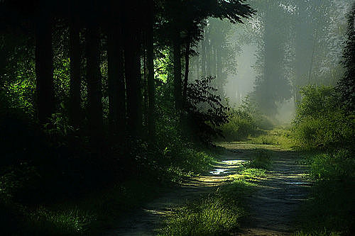 src=http___img.zcool.cn_community_01847f553fbc6600000155d9a40789.jpg@1280w_1l_2o_100sh.jpg&refer=http___img.zcool.jpg