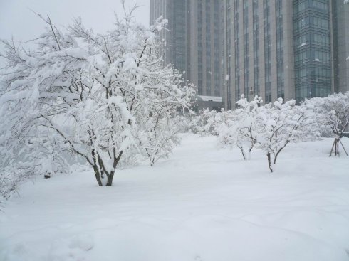 src=http___s3.sinaimg.cn_bmiddle_4c0112f744604115f5b32&refer=http___s3.sinaimg.jpg