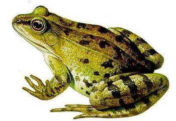 src=http___bbs.vsread.com_bbsuploadimg_2014-07-20_20140720235724_55493.jpg&refer=http___bbs.vsread.jpg