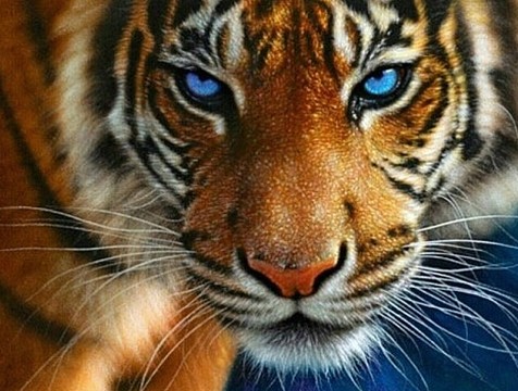 src=http___images.china.cn_attachement_jpg_site1000_20131111_7427ea210a4d13ea873f03.jpg&refer=http___images.china.jpg
