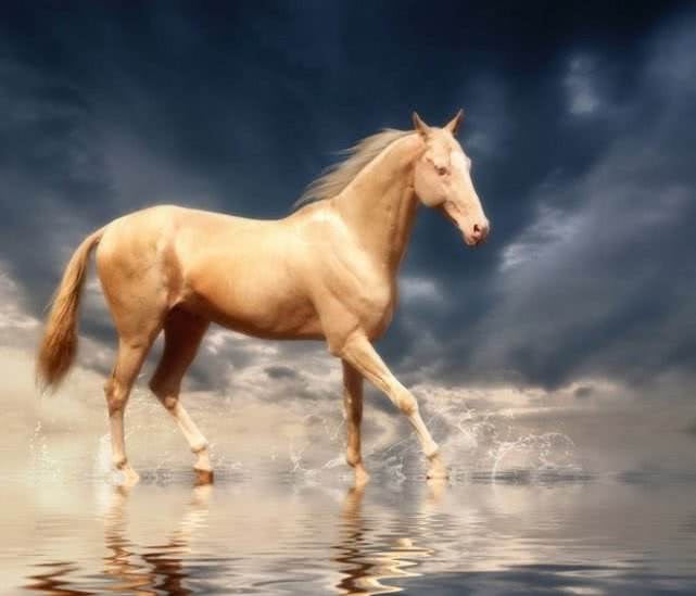 src=http___dingyue.ws.126.net_2020_0514_eb1da87ej00qab1v90010c000ht00f9m.jpg&refer=http___dingyue.ws.126.jpg
