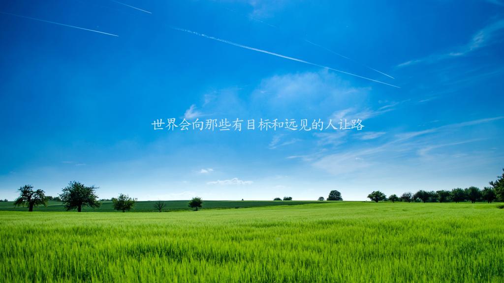 960eae4c6be9e47e63be66a772997c73.jpeg